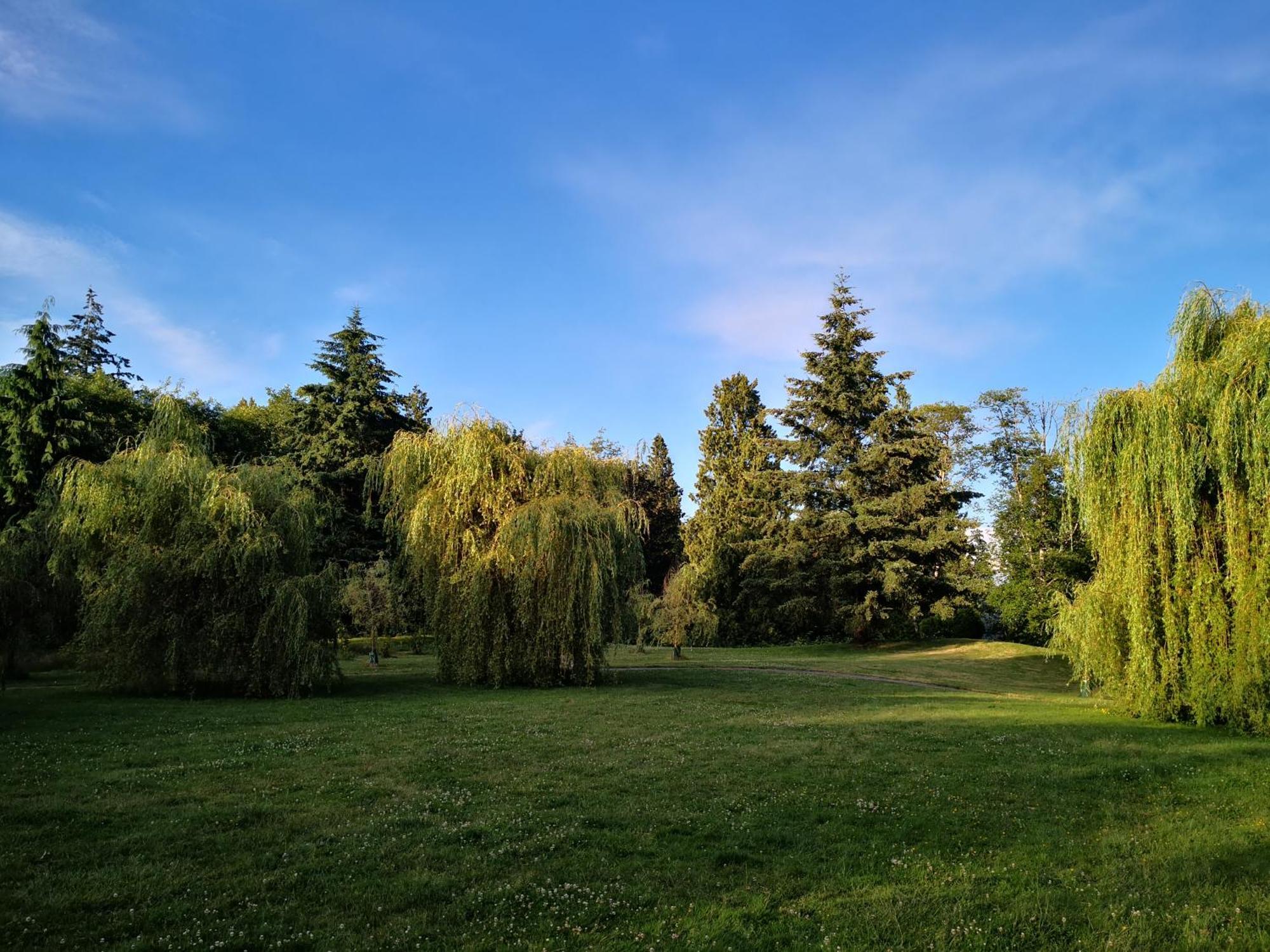 Entire Forest Home Near Nature & Amenities Суррей Екстер'єр фото